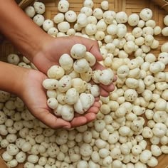 Premium Makhana - Dev Tandoor Industries